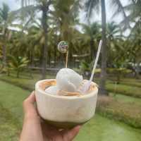 치앙마이 핫플 코코넛마켓🌴
