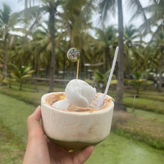 치앙마이 핫플 코코넛마켓🌴