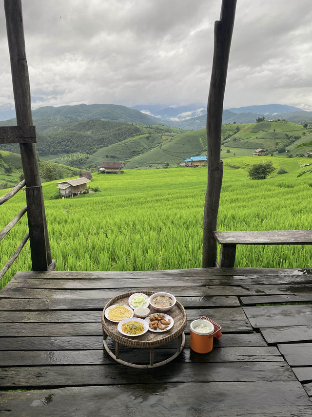 ที่พักป่าบงเปียง | เชียงใหม่ 🏡⛰️🌧️🌾