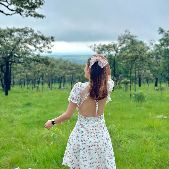 อุทยานแห่งชาติป่าหินงาม #ชัยภูมิ