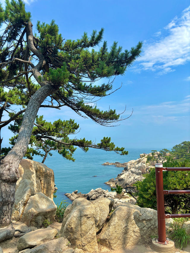 대만이 생각나는 국내 히든 플레이스 대왕암공원💚