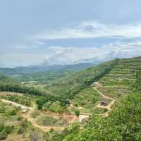 Ethos Forest: A Hidden Gem in Karak