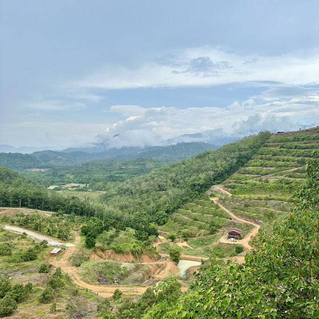 Ethos Forest: A Hidden Gem in Karak