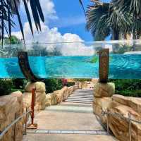 🇲🇴環遊亞洲10澳門銀河「天浪淘園」水上樂園