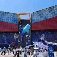 天保山大摩天輪+海游館+聖瑪利亞號=一站式嘅親子旅遊好去處
