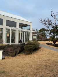 브런치부터 음료메뉴까지 맛스러운 음식이 가득한 제주 이지고잉