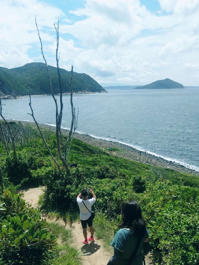 【糸島】まるでジブリの世界のような天然アートの島♪