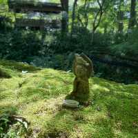 京都三千院 ⛩️🍵 寧靜緻雅的好去處 ✨