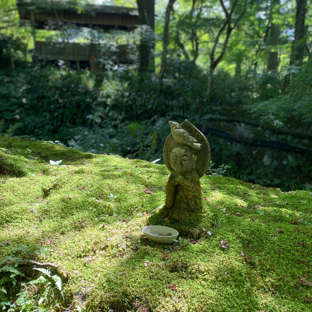 京都三千院 ⛩️🍵 寧靜緻雅的好去處 ✨