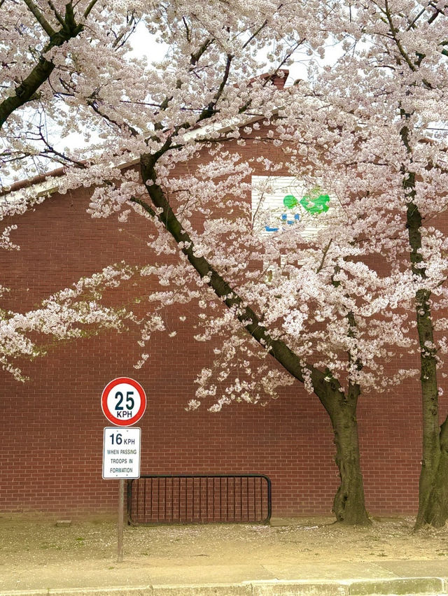 서울 포토존 명소, 용산 가볼 만한 곳 ‘용산공원’