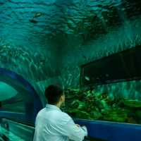 ทัวร์โลกใต้น้ำกับอควาเรียมบางแสนกันครับ 🪼🐠🦈