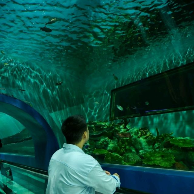 ทัวร์โลกใต้น้ำกับอควาเรียมบางแสนกันครับ 🪼🐠🦈