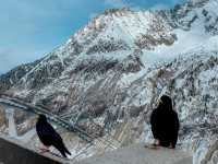 Mer de Glace in Winter