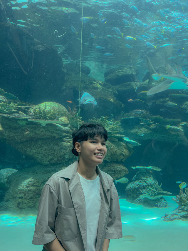 Port of Nagoya Public Aquarium 🪼🐬🚢