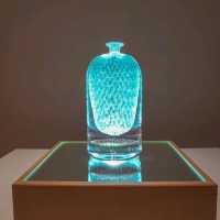 ชมศิลปะแห่งแก้วที่ Toyama Glass Art Museum กัน