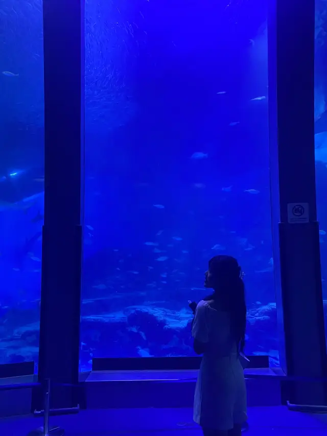 橫濱近郊，可以觀賞海洋動物表演的八景島水族館