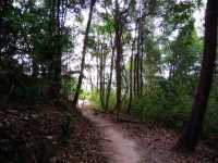 Bukit Malau Trailhead
