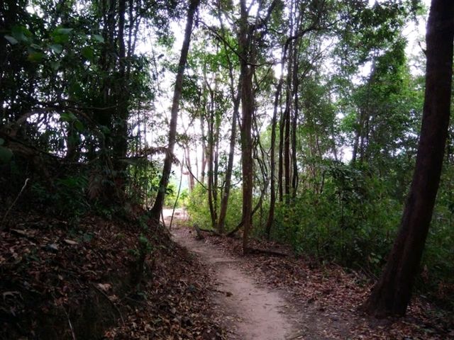 Bukit Malau Trailhead