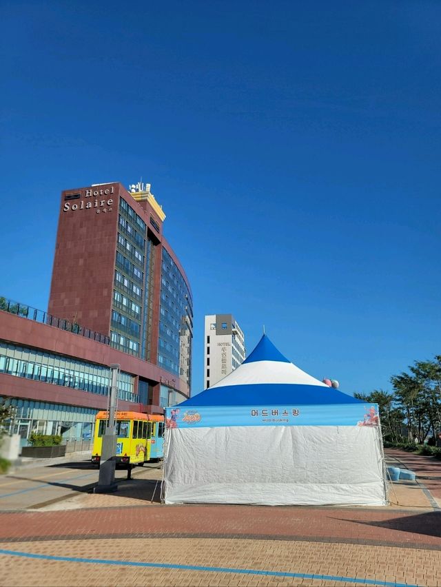 여름 해변데이트하기 좋은 보령 여행지💙