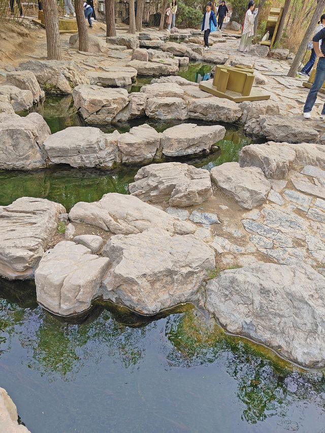 集當代書法大全藝術風采：中國翰園
