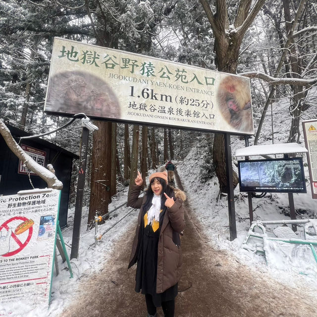 Jigokudani (Snow) Monkey Park ดูน้องลิงแช่ออนเซ็น🐵