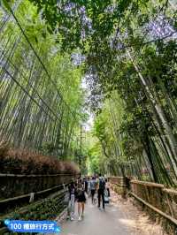 日本京都-參天竹林密境的嵐山之美