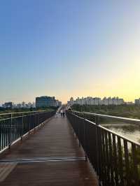 🇰🇷 首爾No.1 漢江公園 這景色真的是排第1名🌳