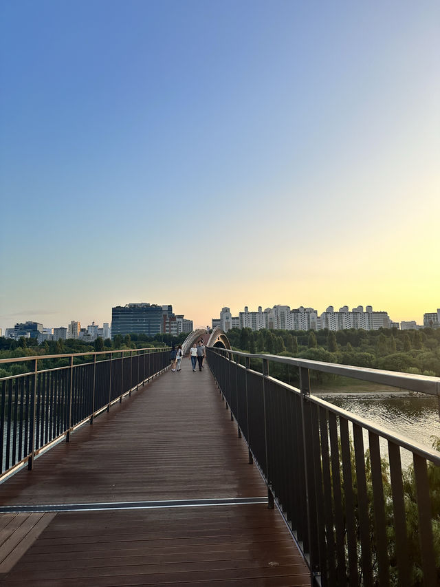 🇰🇷 首爾No.1 漢江公園 這景色真的是排第1名🌳
