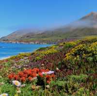 The Hidden Beaches of Big Sur, California