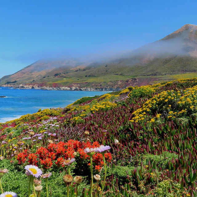 The Hidden Beaches of Big Sur, California