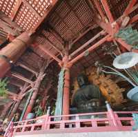 เมืองนาราในฤดูใบไม้ร่วง !!!