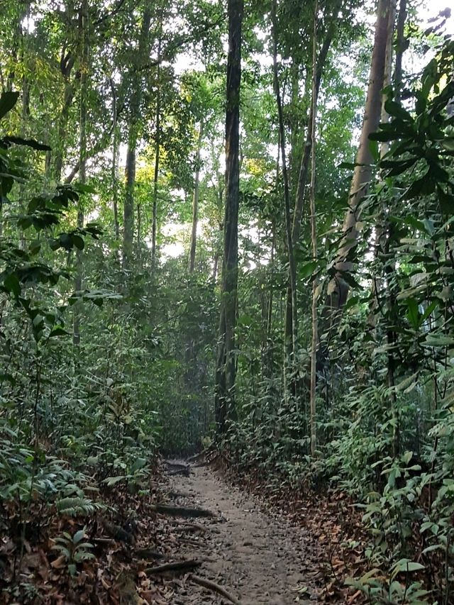 IN HARMONY WITH NATURE 