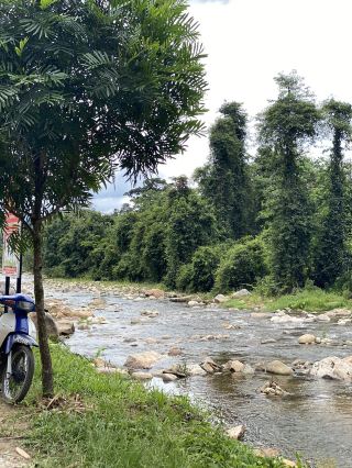  A scenic escape of waterfall 💕