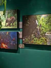 中國國家地理 • 探索科學藝術影像展