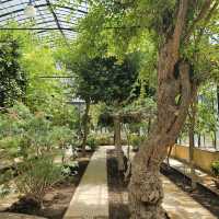 Discover Nature’s Beauty at Palermo Botanical Gardens