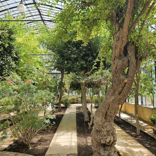 Discover Nature’s Beauty at Palermo Botanical Gardens