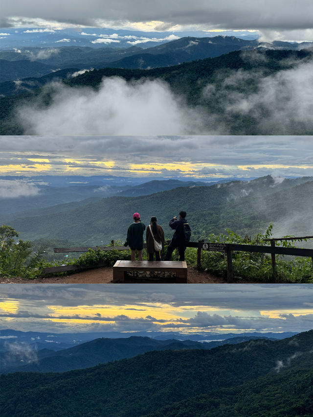 ดอยสุเทพ-ดอยปุย | ฤดูฝน ⛰️🌧️🌿🌳