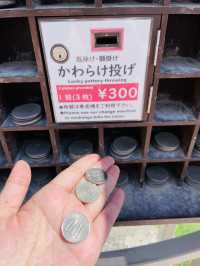 【京都府:天橋立】開運祈願！！かわらけ投げ体験で願掛け！