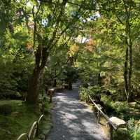 Zen Serenity at Tenryu-ji Temple in Kyoto