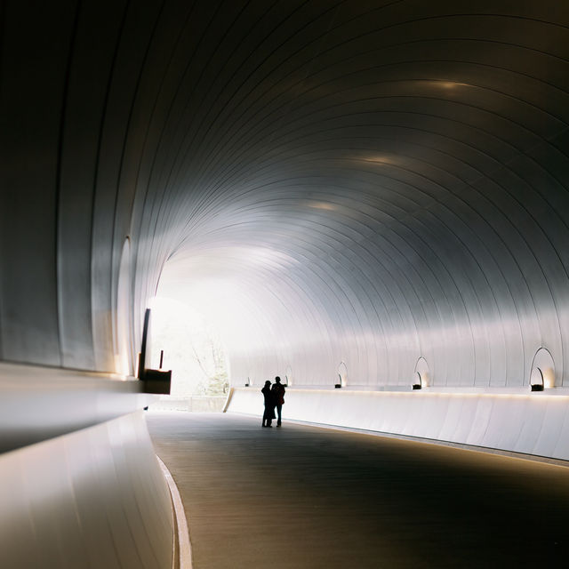 🛣️穿越時光隧道，邂逅 Miho Museum 的奇幻之旅