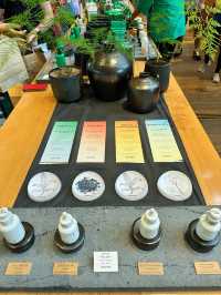 Experience the essence of Jeju @ Innisfree House 🇰🇷 