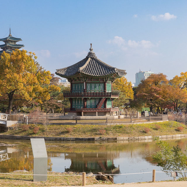 가을에 가볼만한곳 경복궁