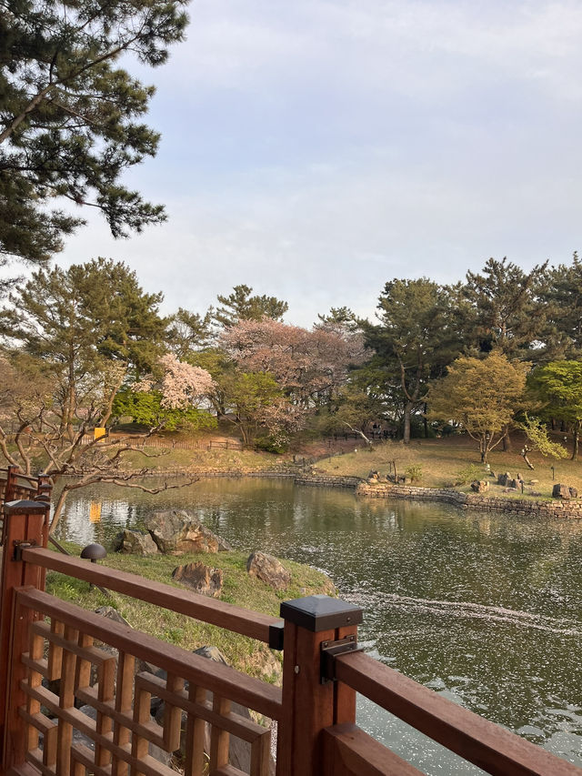 경주 여행가서 안갈 수 없는 곳 ‘동궁과 월지’🇰🇷
