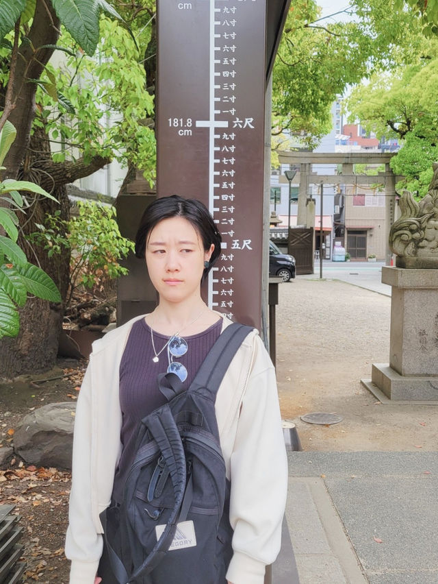 【獅子頭の形をした舞台がユニーク🦁難波八阪神社⛩️】