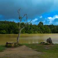 ⛰️1 วันเที่ยวบนเขาใหญ่ ⛰️