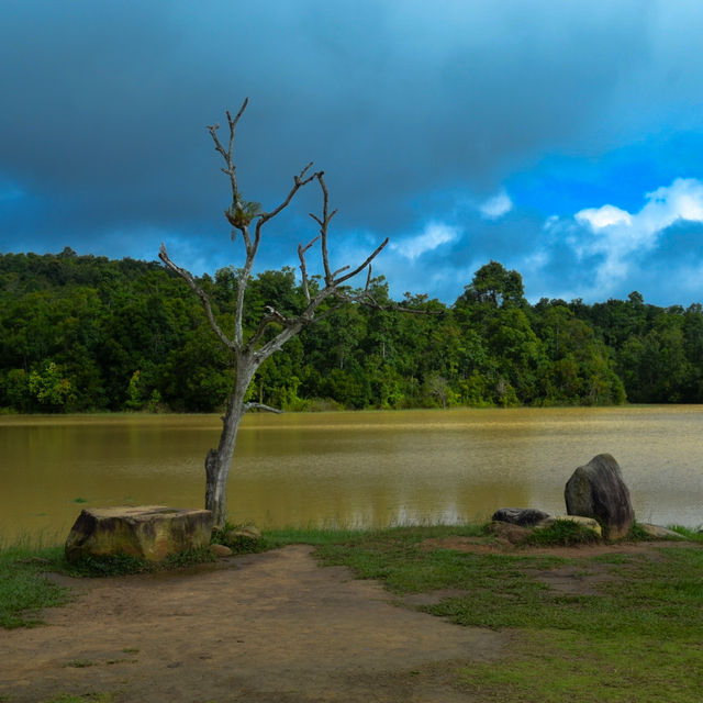 ⛰️1 วันเที่ยวบนเขาใหญ่ ⛰️