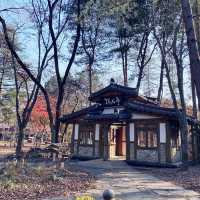 My Island Tour Around Nami Island 🇰🇷