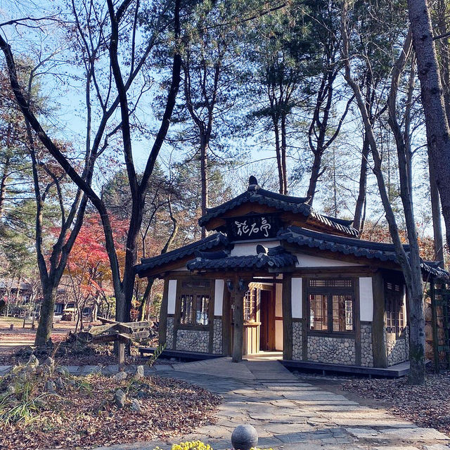 My Island Tour Around Nami Island 🇰🇷