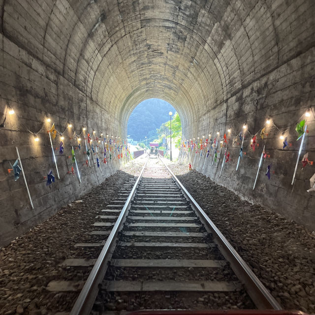 A Perfect Day Trip from Seoul: Alpaca World, Nami Island, and Gangchon Rail Park