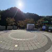 소금산 출렁다리(원주)